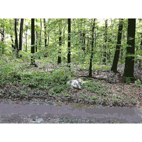 SVG Lichtscheid Forest Again 7 2015071512