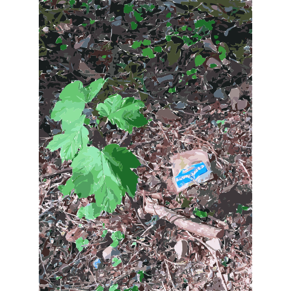SVG Lichtscheid Forest Again 7 2015071527