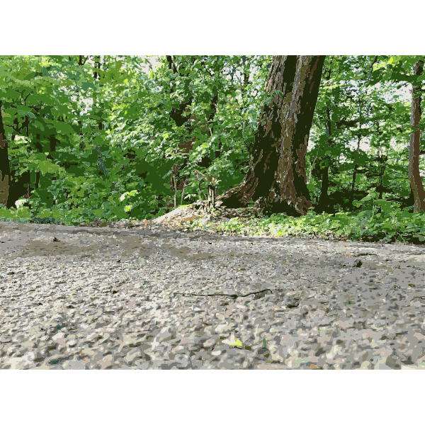 SVG Lichtscheid Forest Again 8 2015071527