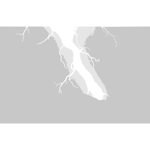 SVG lightning 03