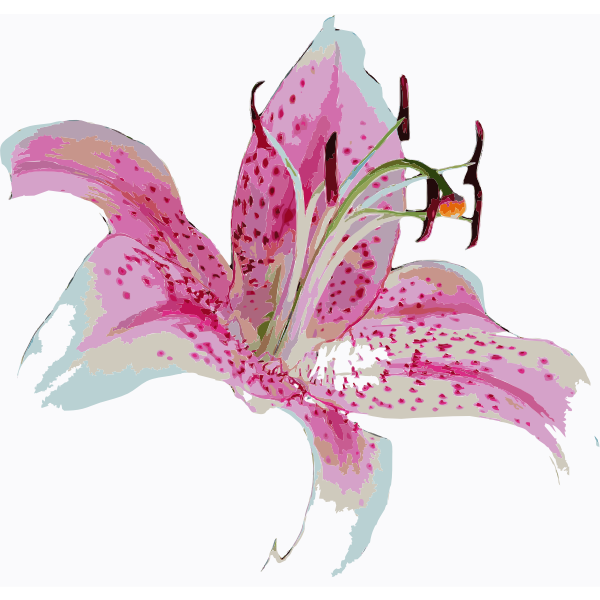 SVG Lilly flower 3