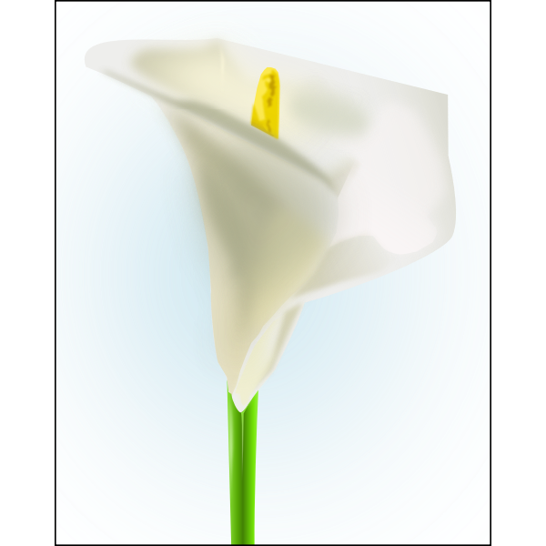 SVG Lilly flower vector image