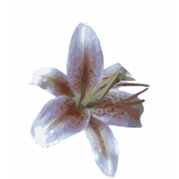 SVG Lily