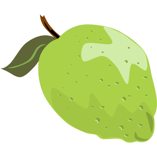 SVG Lime vector illustration with leaf