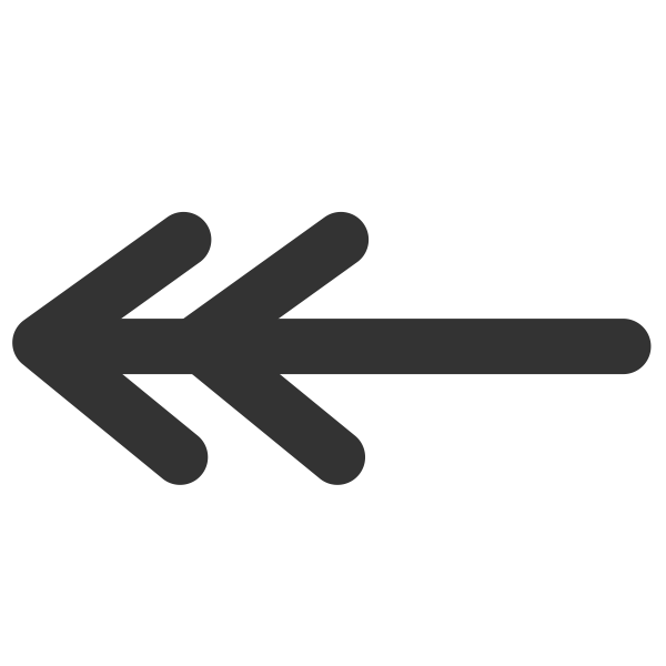 SVG Line double line arrow begin