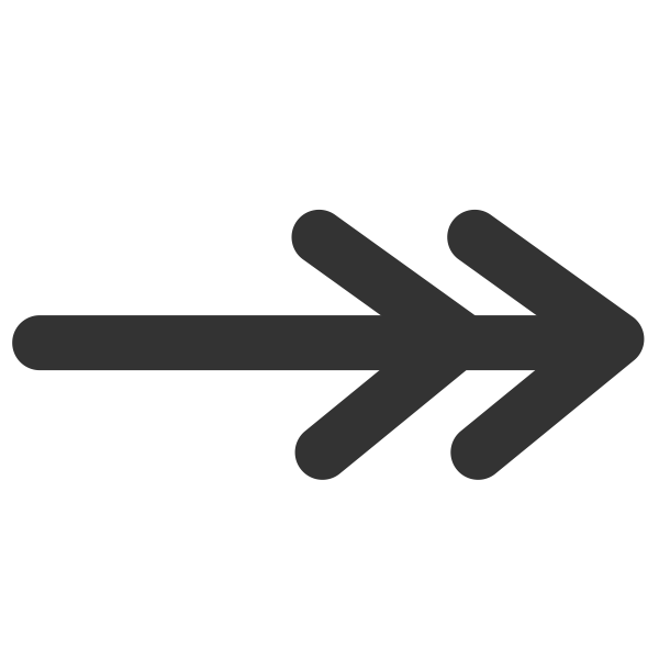 SVG Line double line arrow end icon