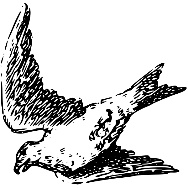 SVG Line drawing of a bird in flight