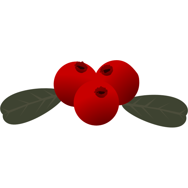 SVG Lingonberry vector image