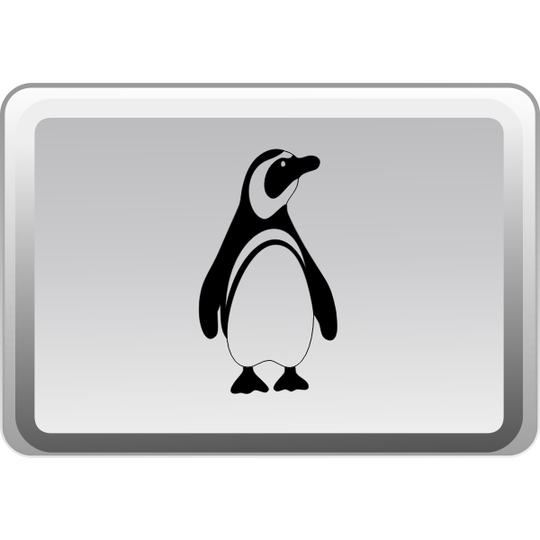 SVG Linux key vector button