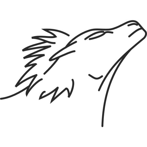 SVG Lion line drawing