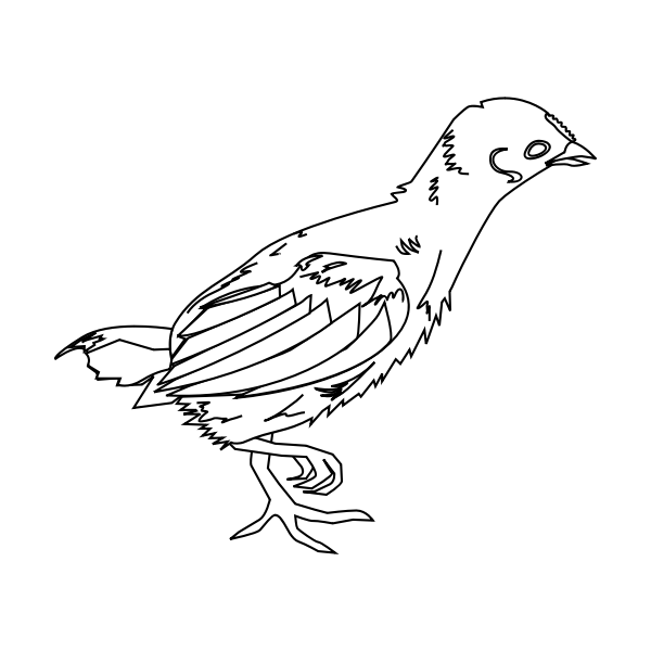 SVG Little Chicken by ridjam