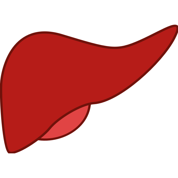 SVG Liver in red