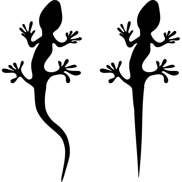 SVG Lizard
