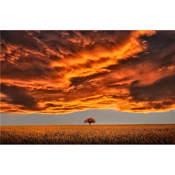 SVG Lone Tree Under A Scorched Sky