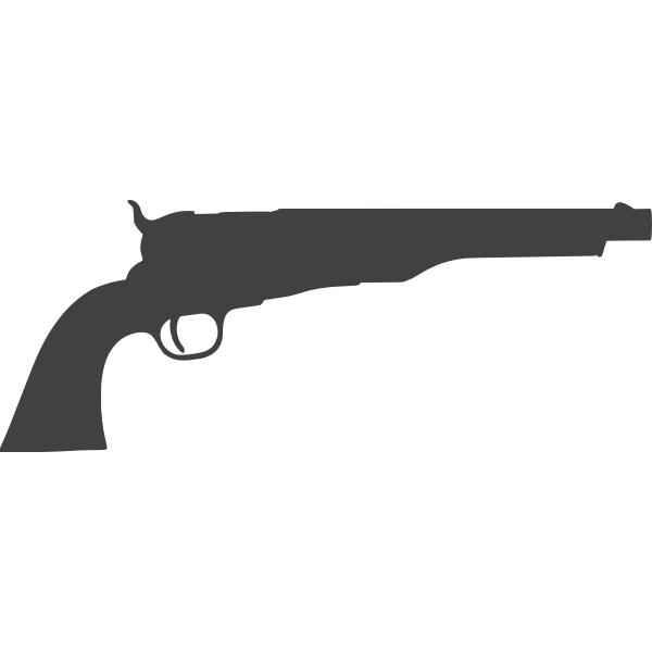 SVG Long gun