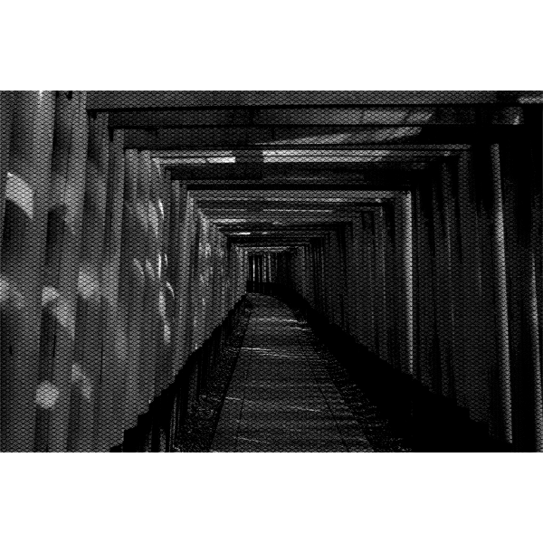 SVG Long narrow gate