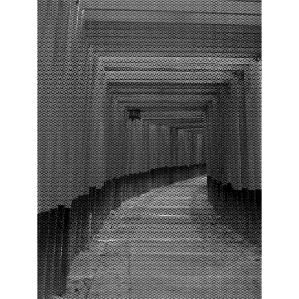 SVG Long narrow gates