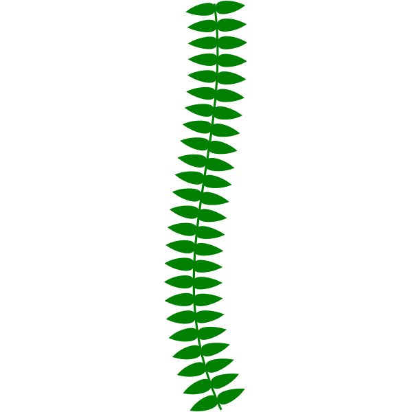 SVG Long Thin Vine