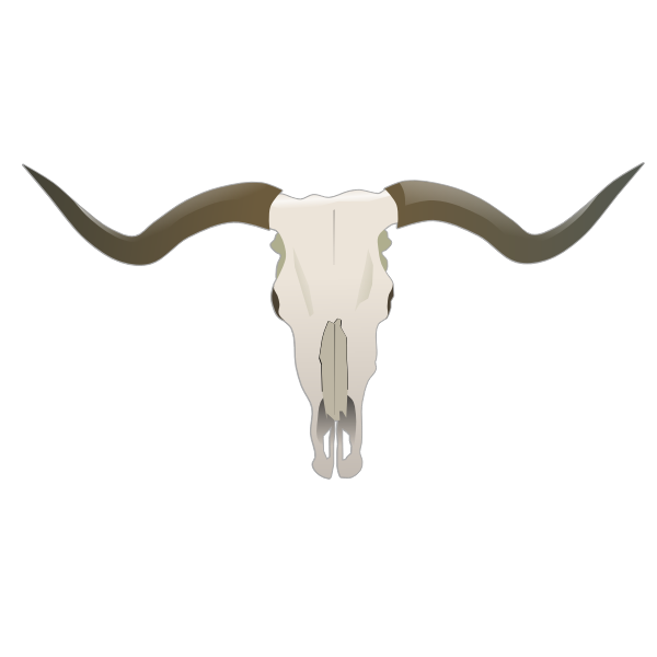 SVG Longhorn skull vector image