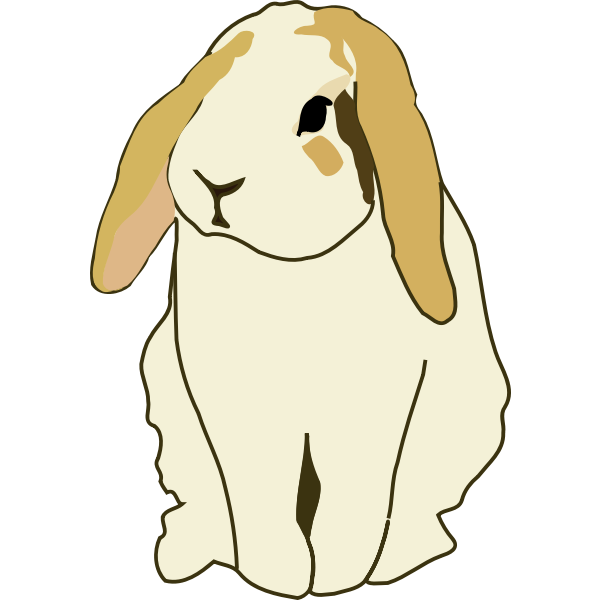 SVG Lop eared rabbit
