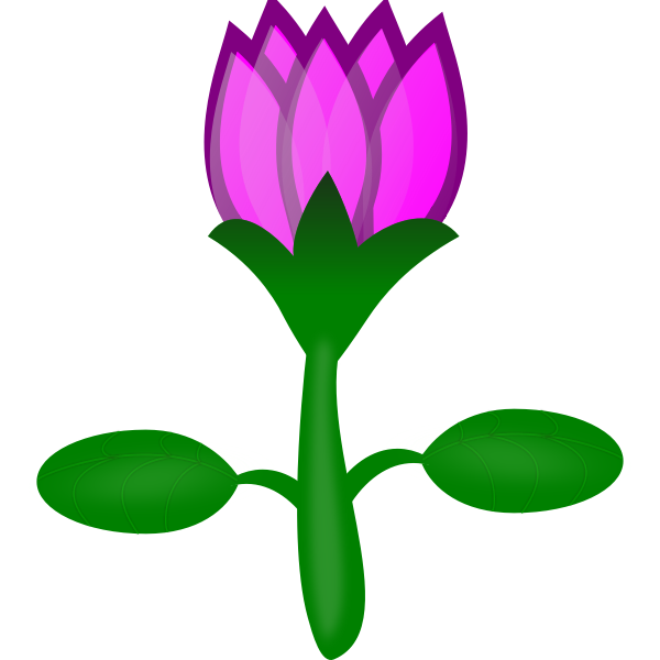 SVG Lotus