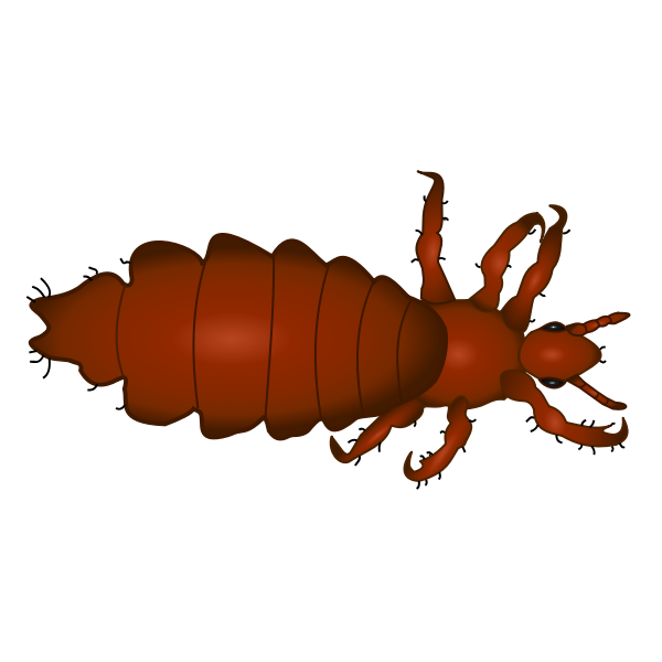 SVG louse