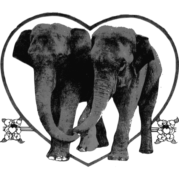 SVG Lover Elephants