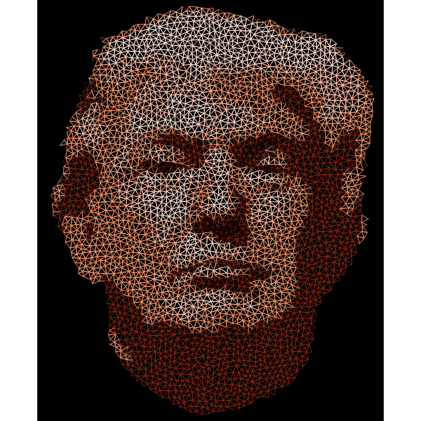 SVG Low Poly Trump Head Wireframe