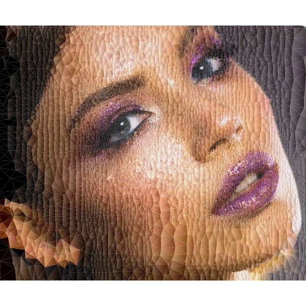 SVG Low Poly woman039s portrait