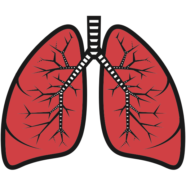 SVG Lungs