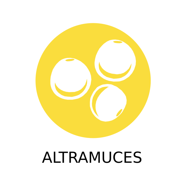 SVG Lupins