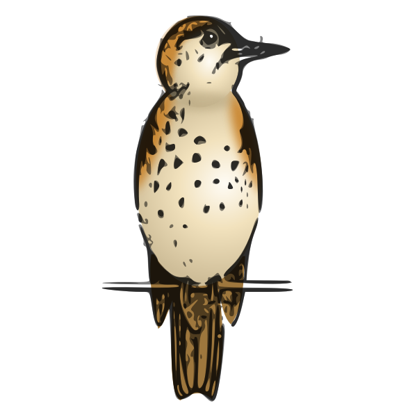SVG Lutz thrush colored