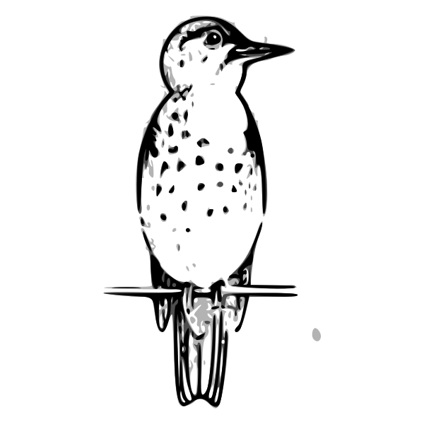 SVG Lutz thrush outline