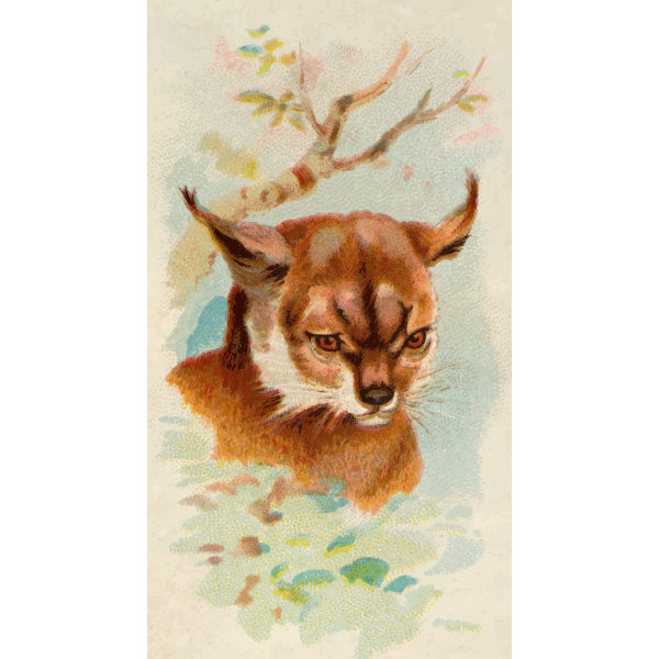 SVG Lynx image