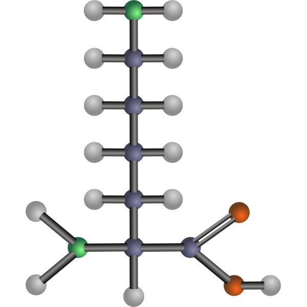 SVG Lysine amino acid