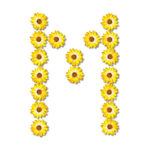 SVG M made of sunflowers