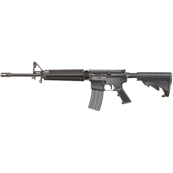 SVG M16  AR-15 rifle