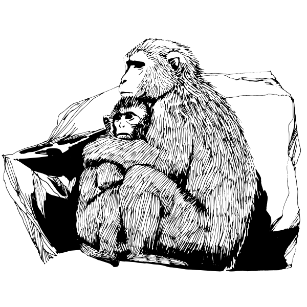 SVG Macaque