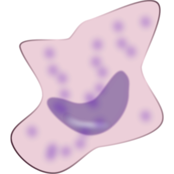 SVG macrophage