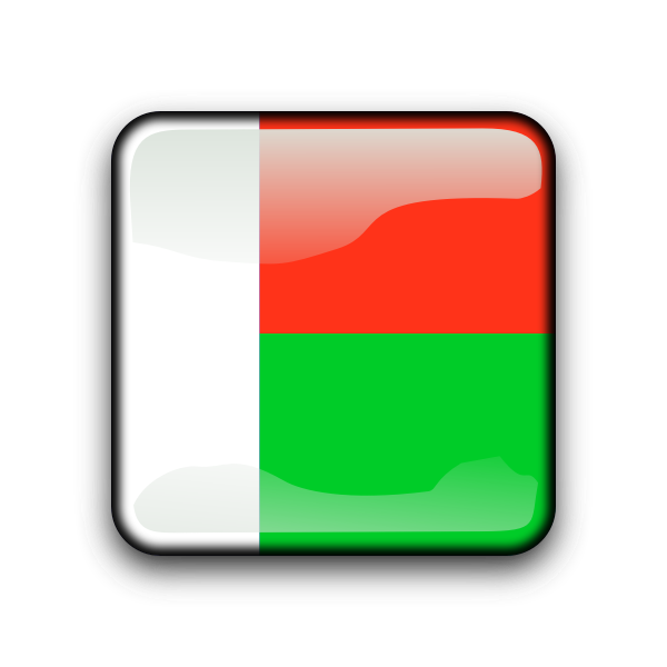 SVG Madagascar flag vector