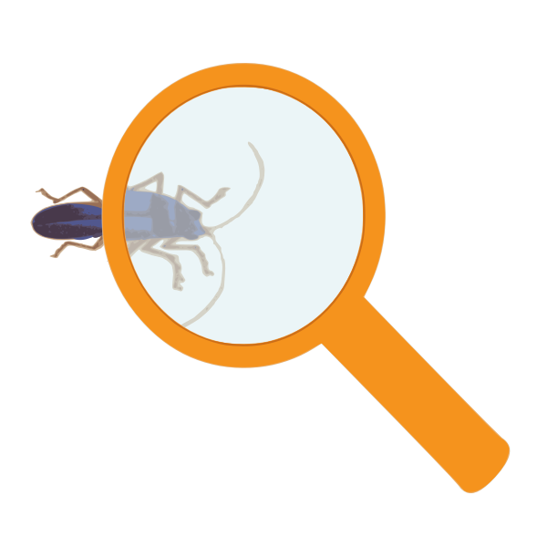 SVG Magnifying glass and bug