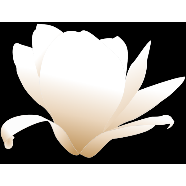 SVG magnolia-white patricia 03r