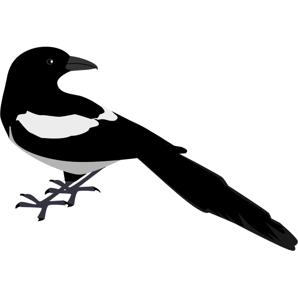 SVG Magpie