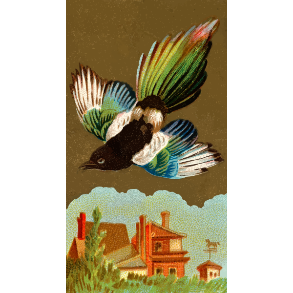 SVG Magpie