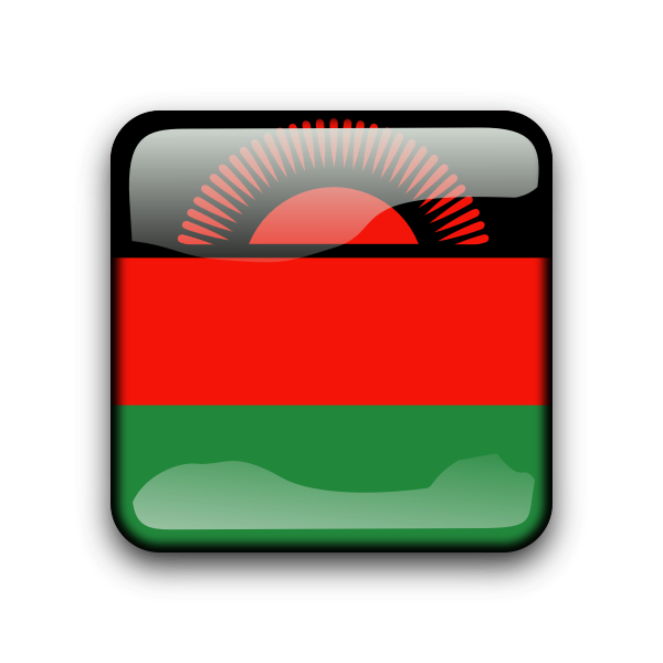 SVG Malawi flag vector