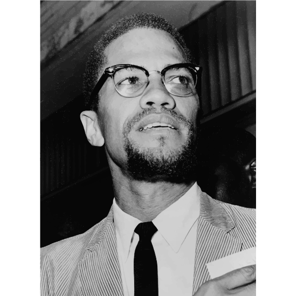SVG Malcolm X At Queens Court
