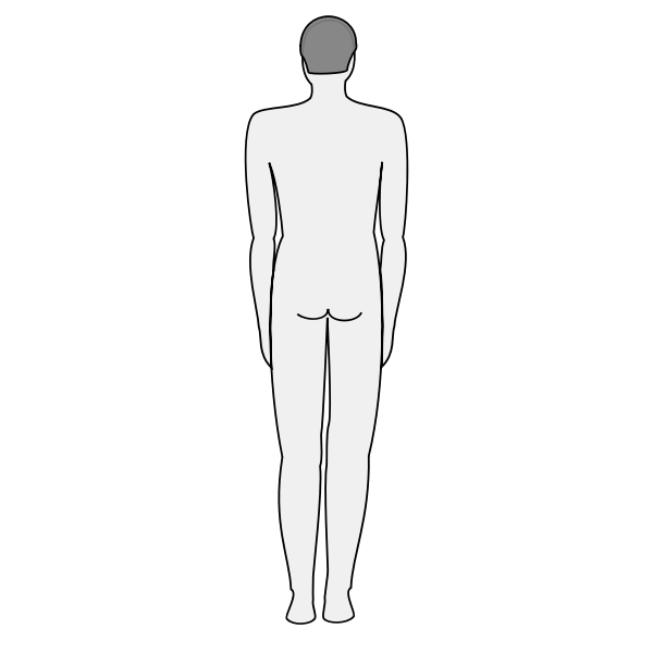 SVG Male body silhouette - back
