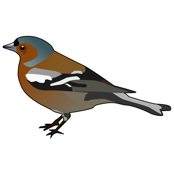 SVG Male Chaffinch