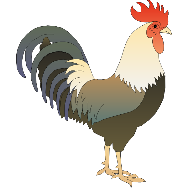 SVG Male chicken