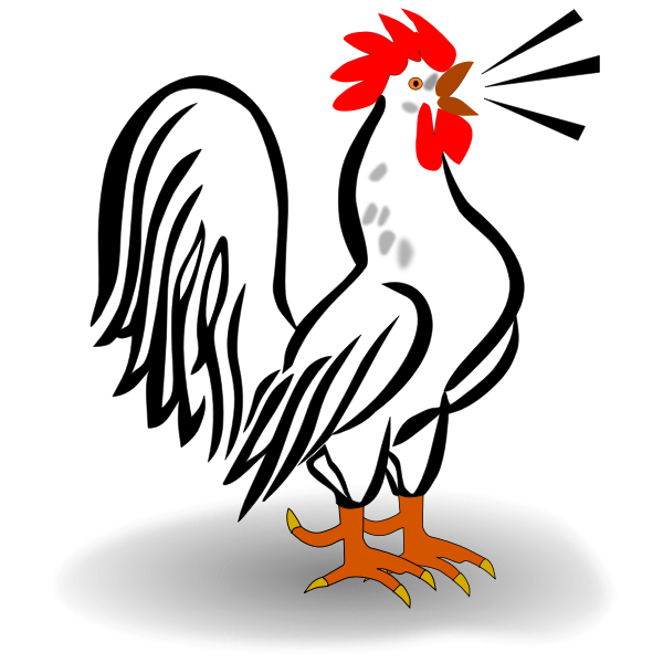 SVG Male chicken vector image